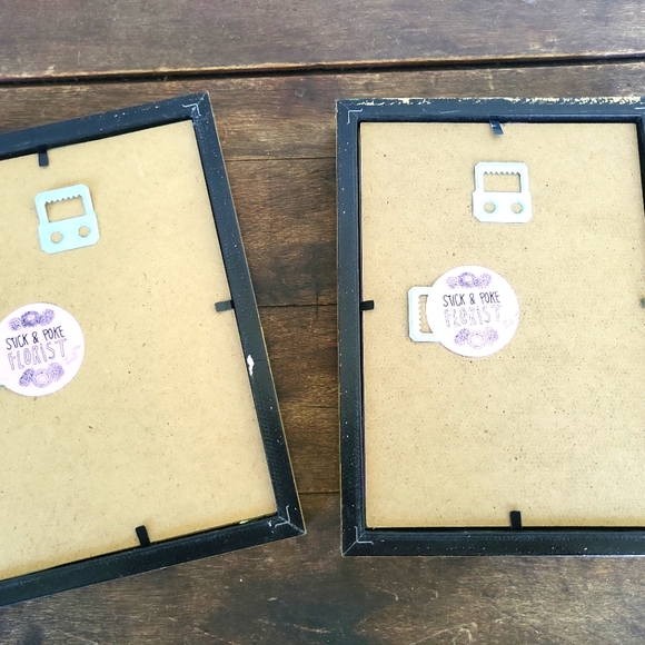 Dried Flower Taxidermy Framed Shadow Box Art Set of 2 - Picture 8 of 11